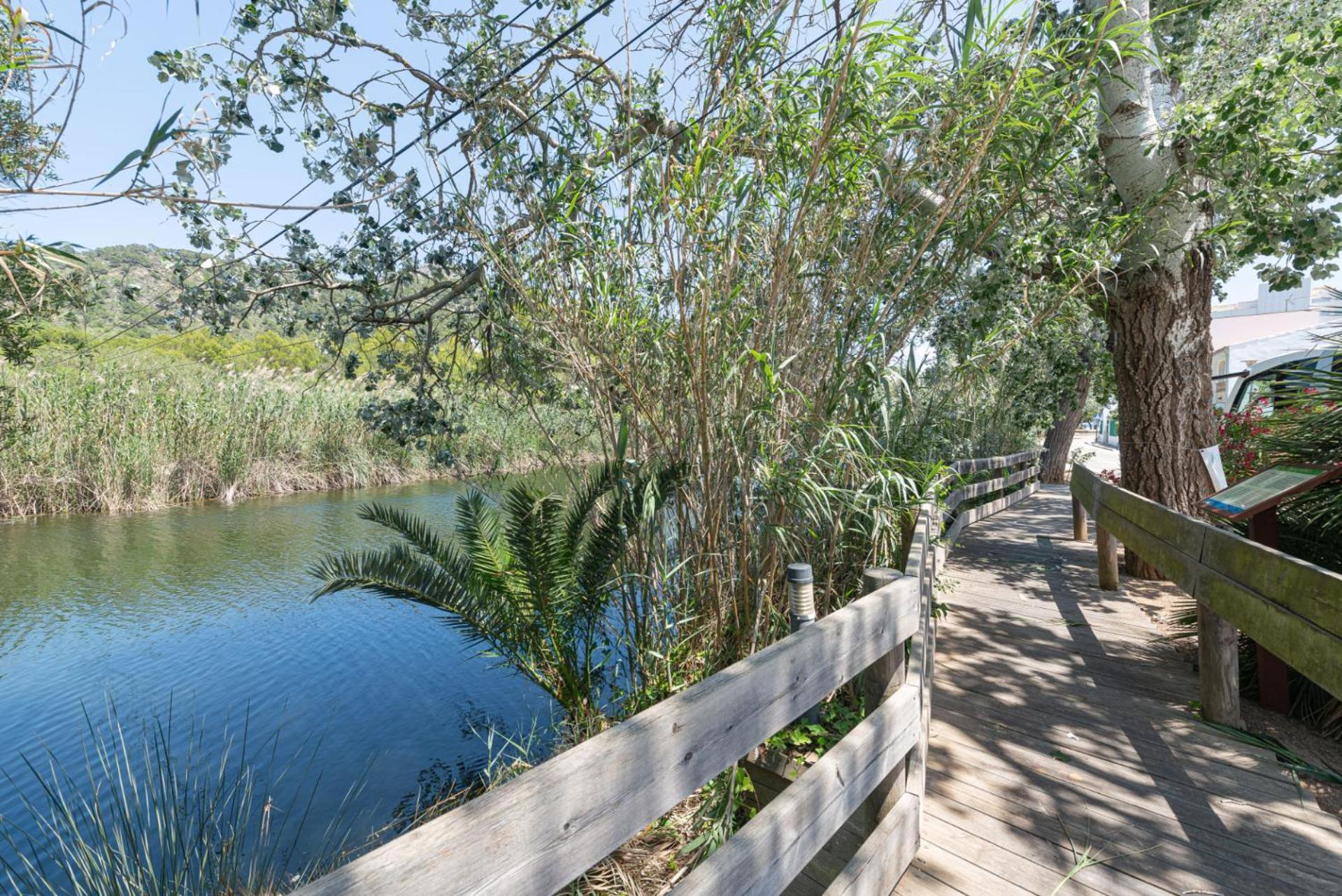 B Apartamento Canyamel (Mallorca)
